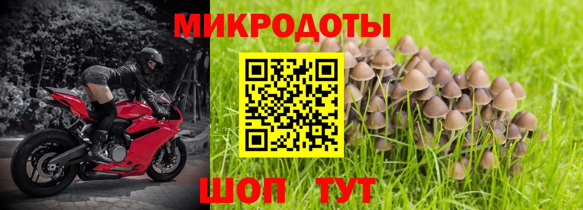 Галлюциногенные грибы MAGIC MUSHROOMS  Вход с VPN  Сальск  Псилоцибиновые грибы Psilocybe 