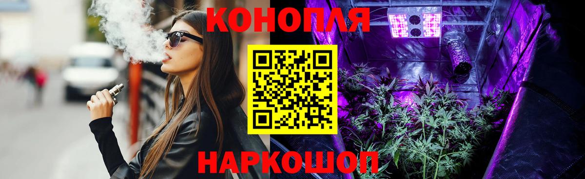 Каннабис план  Вход с VPN  Каннабис White Widow  Сальск  Конопля план 